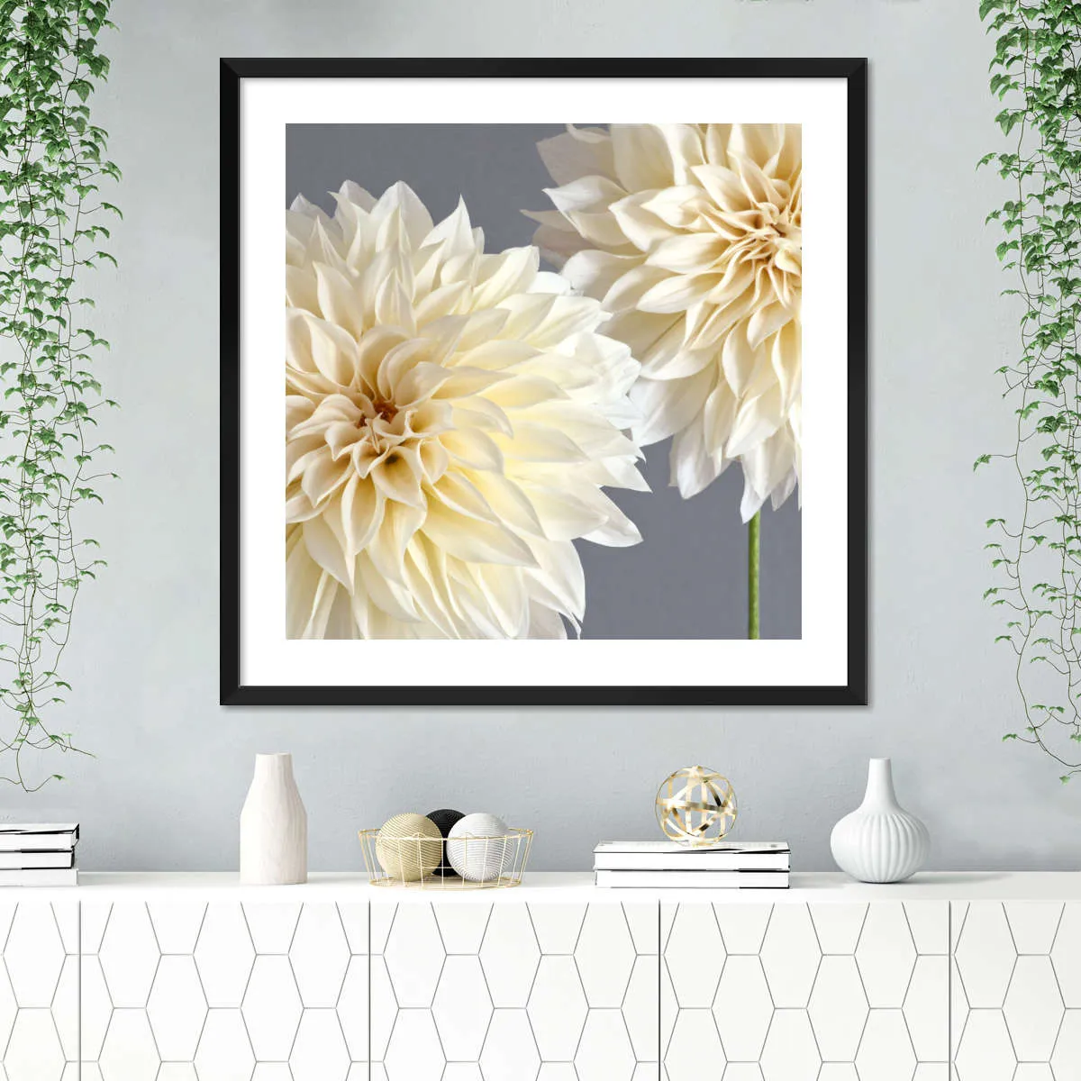 2 Cream Dahlias On Gray Wall Art