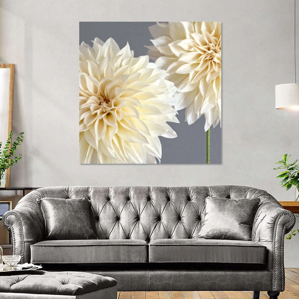 2 Cream Dahlias On Gray Wall Art