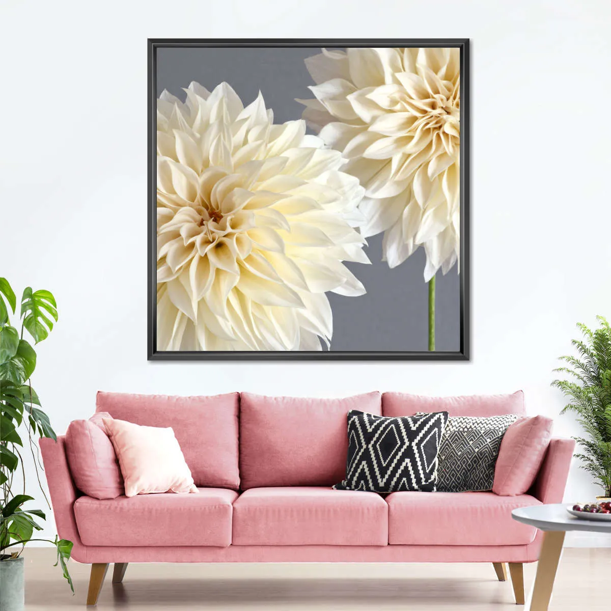 2 Cream Dahlias On Gray Wall Art