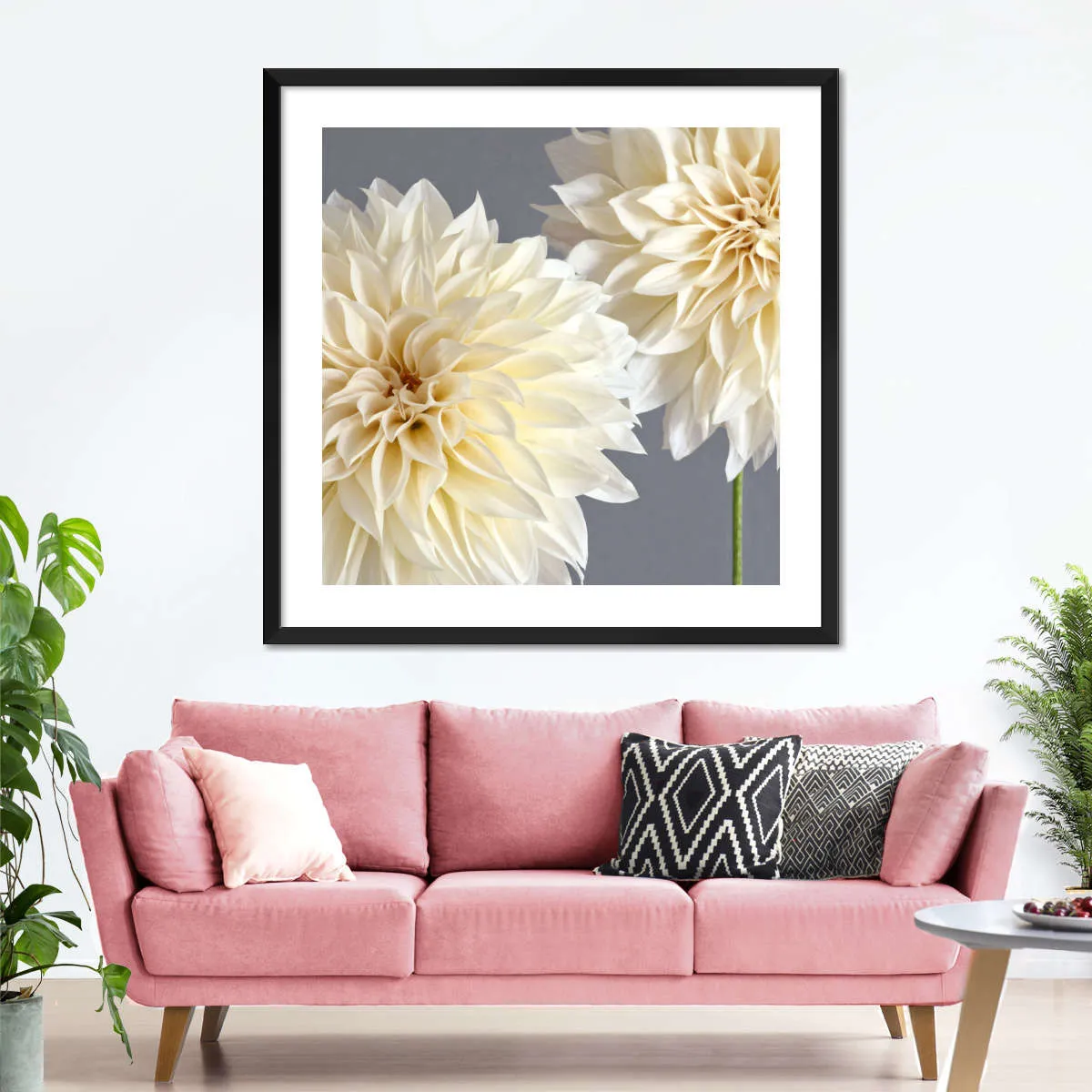 2 Cream Dahlias On Gray Wall Art