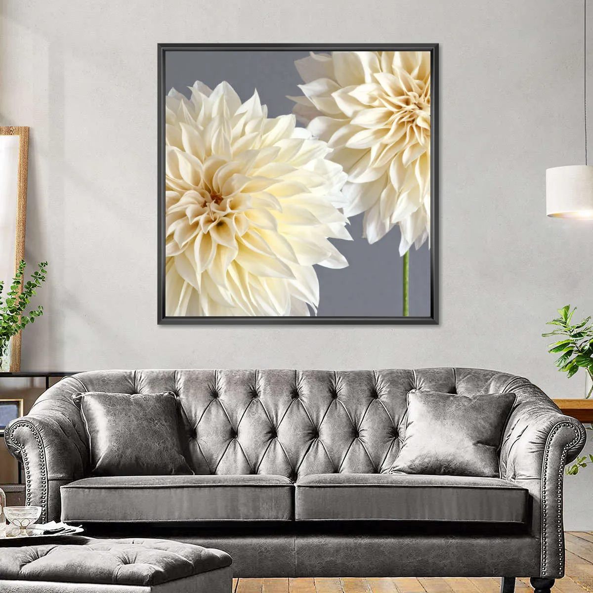 2 Cream Dahlias On Gray Wall Art