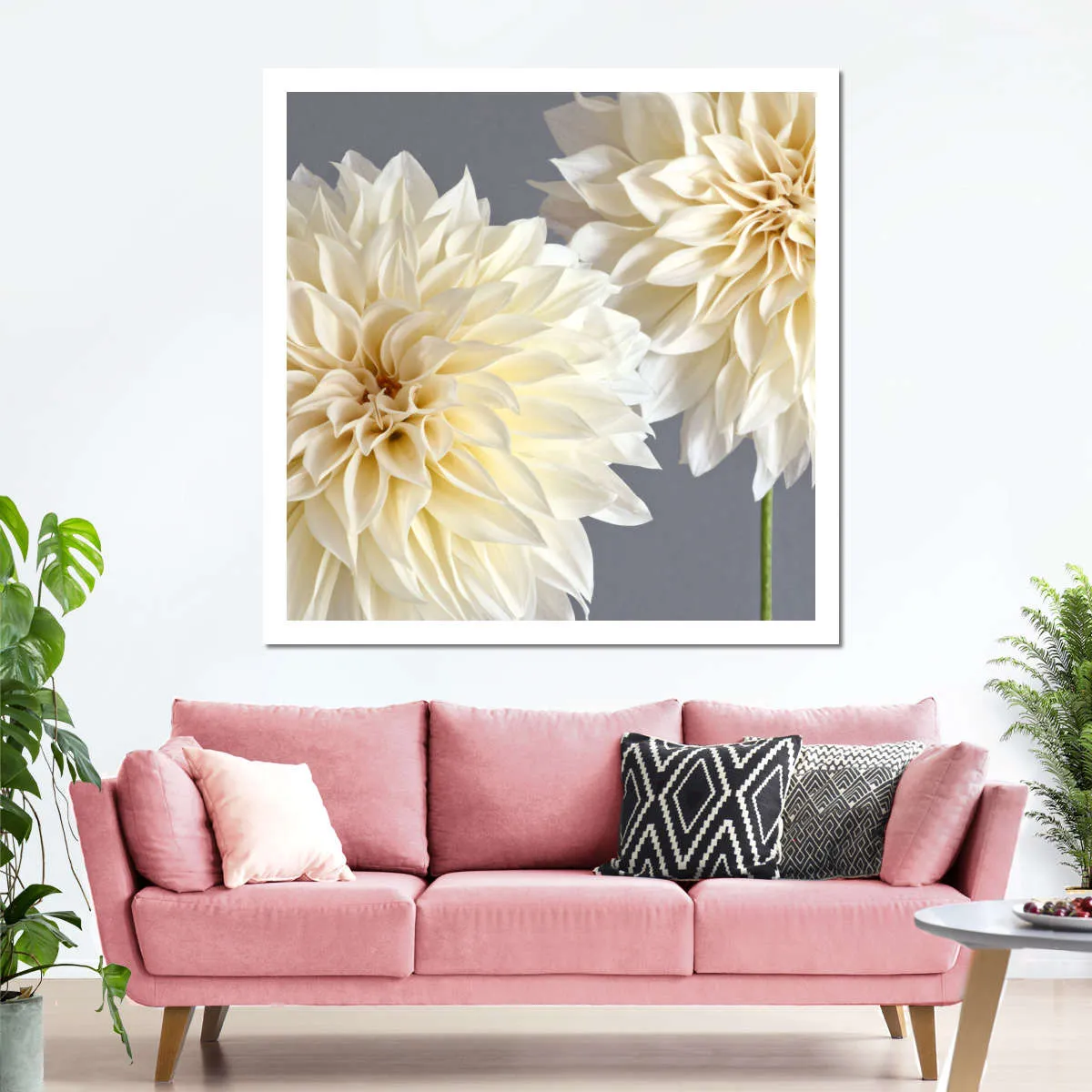 2 Cream Dahlias On Gray Wall Art