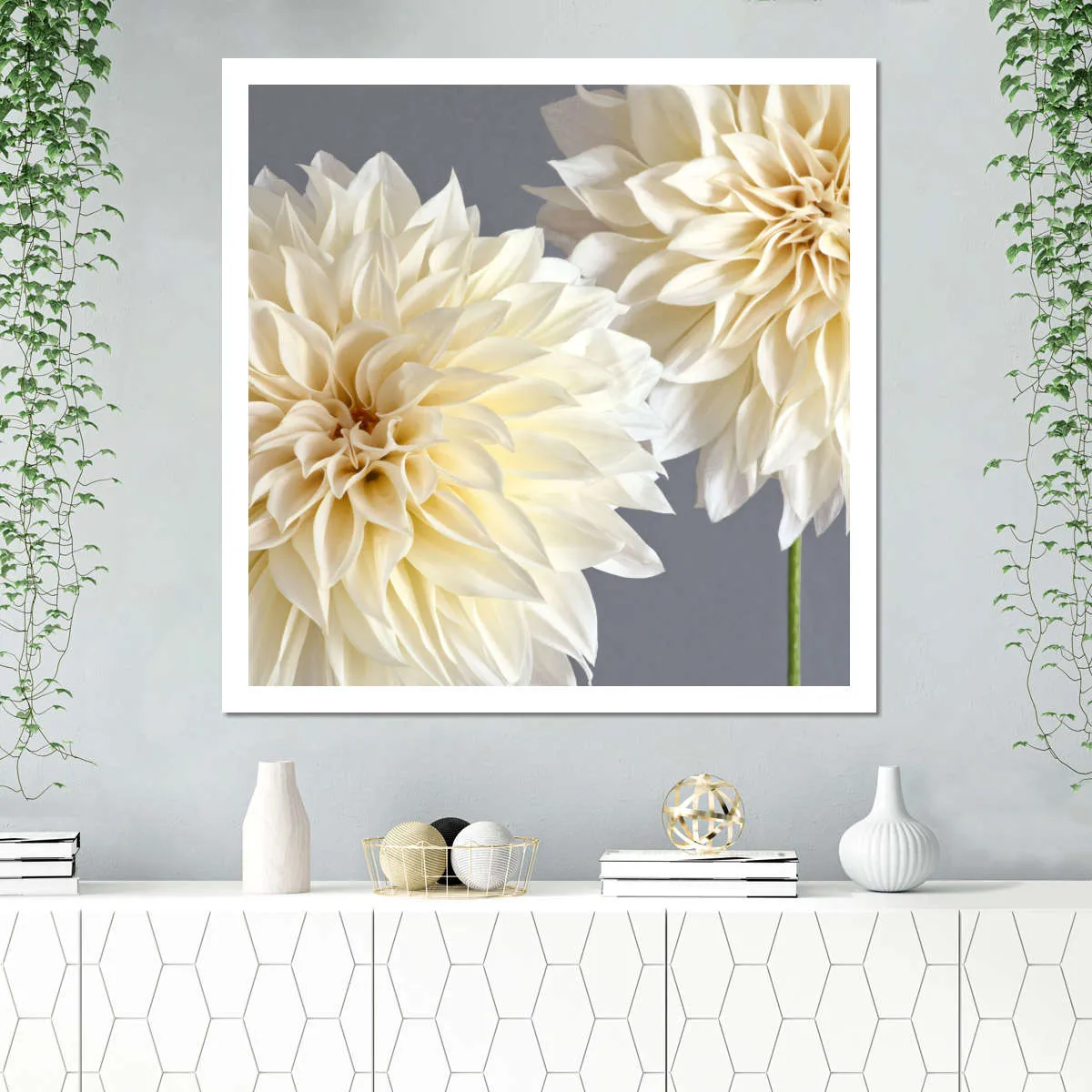 2 Cream Dahlias On Gray Wall Art