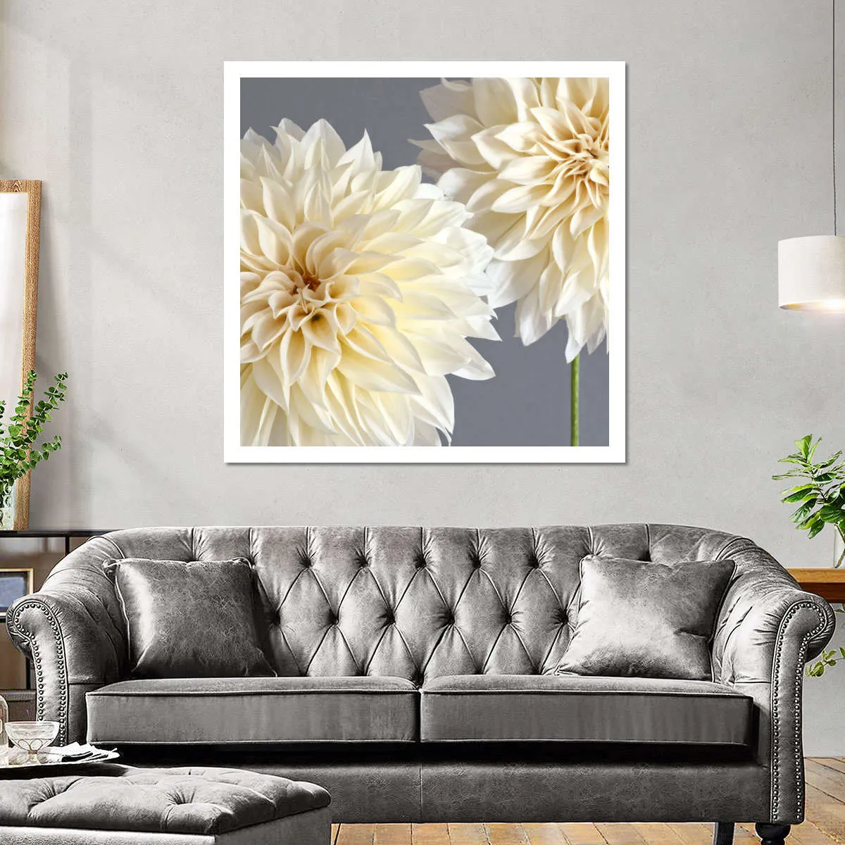 2 Cream Dahlias On Gray Wall Art