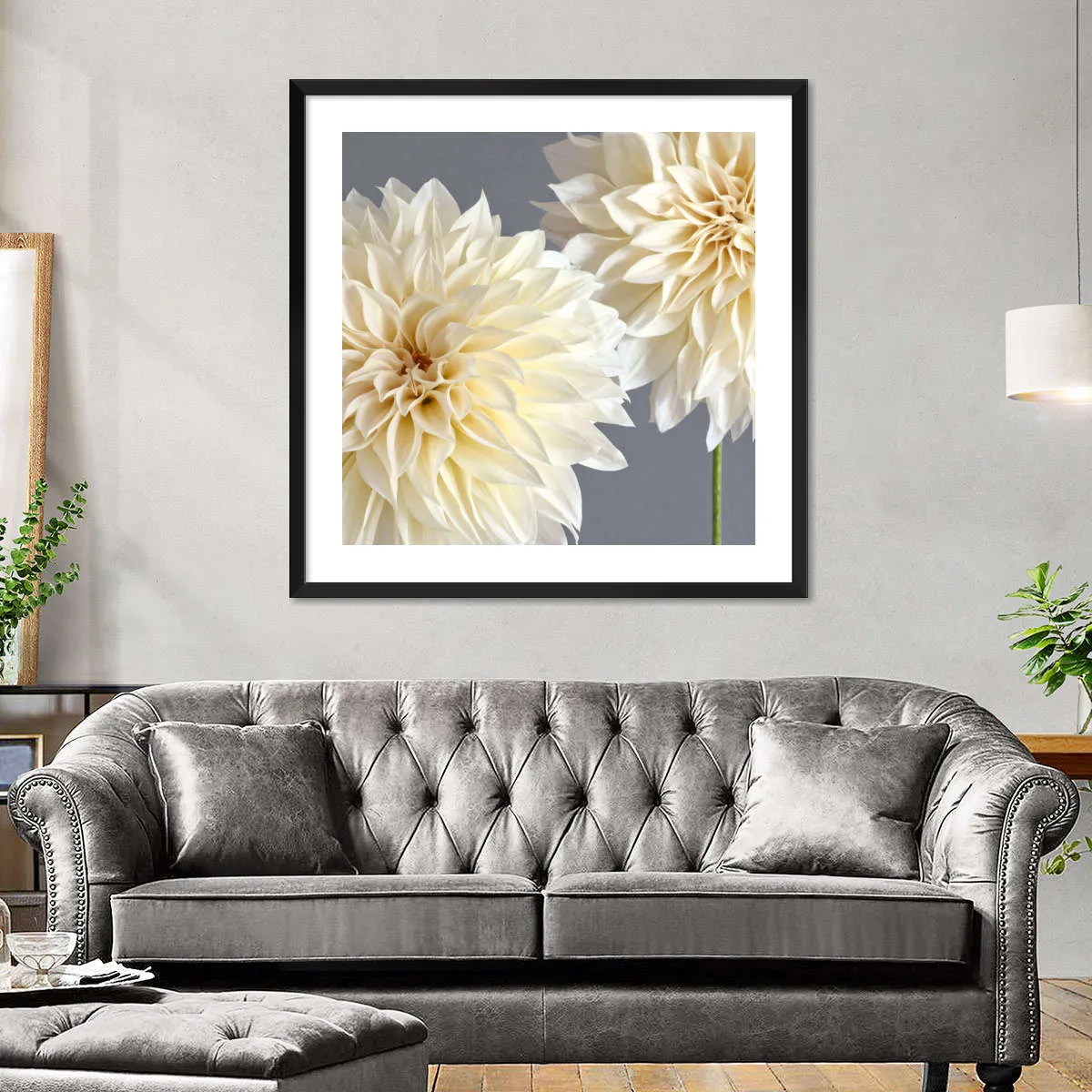 2 Cream Dahlias On Gray Wall Art