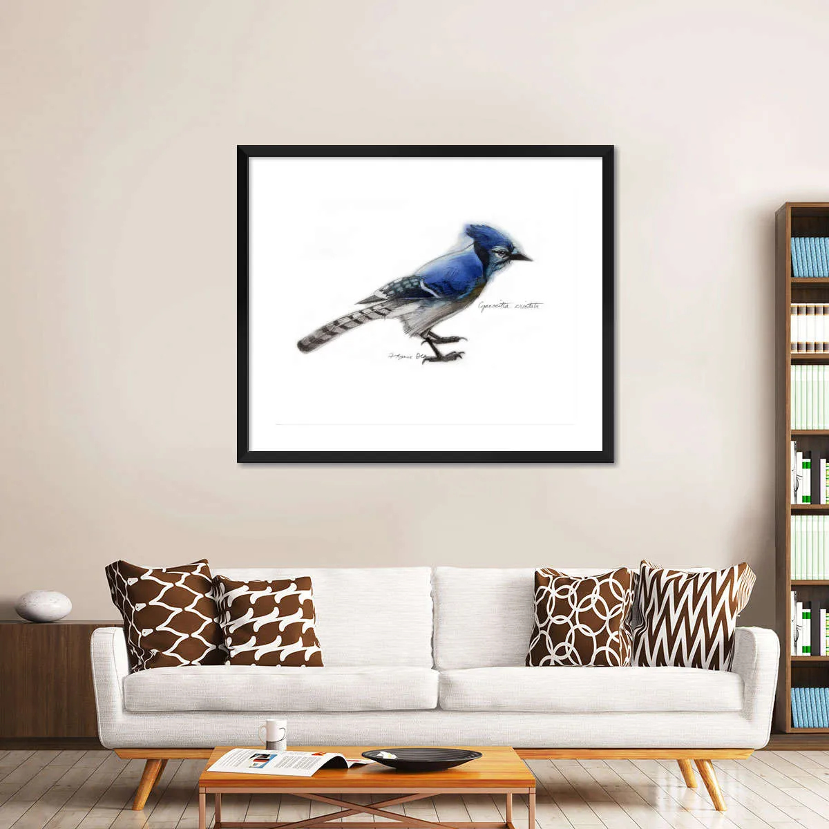 A Blue Jay Wall Art