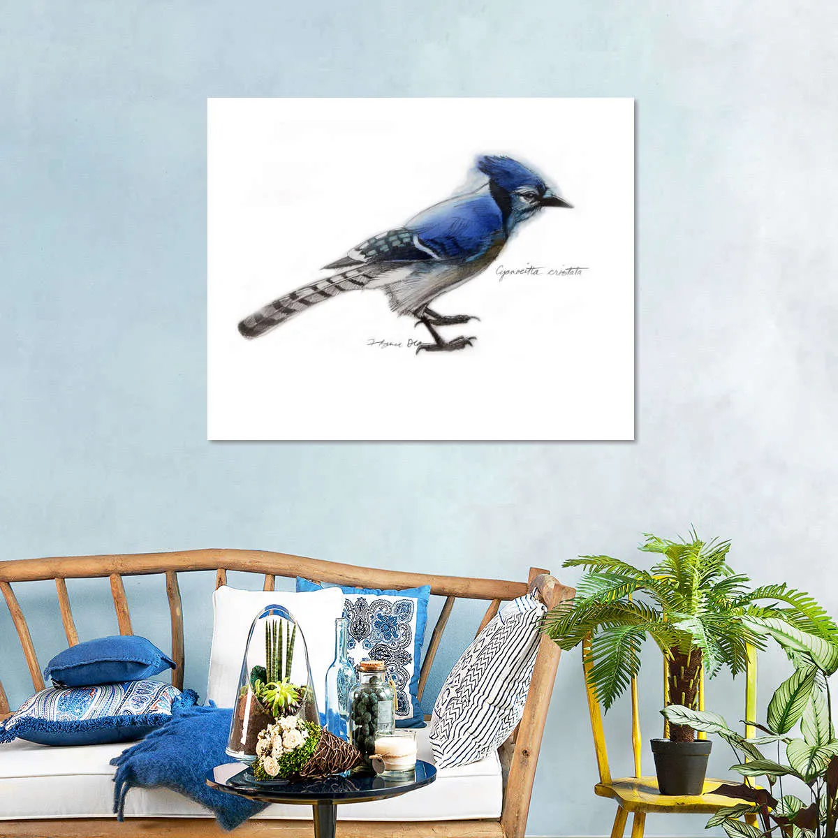 A Blue Jay Wall Art