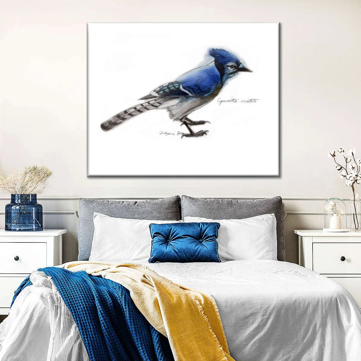 A Blue Jay Wall Art