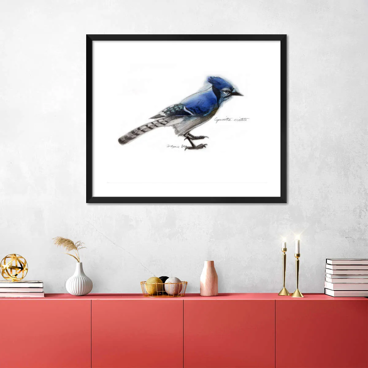 A Blue Jay Wall Art