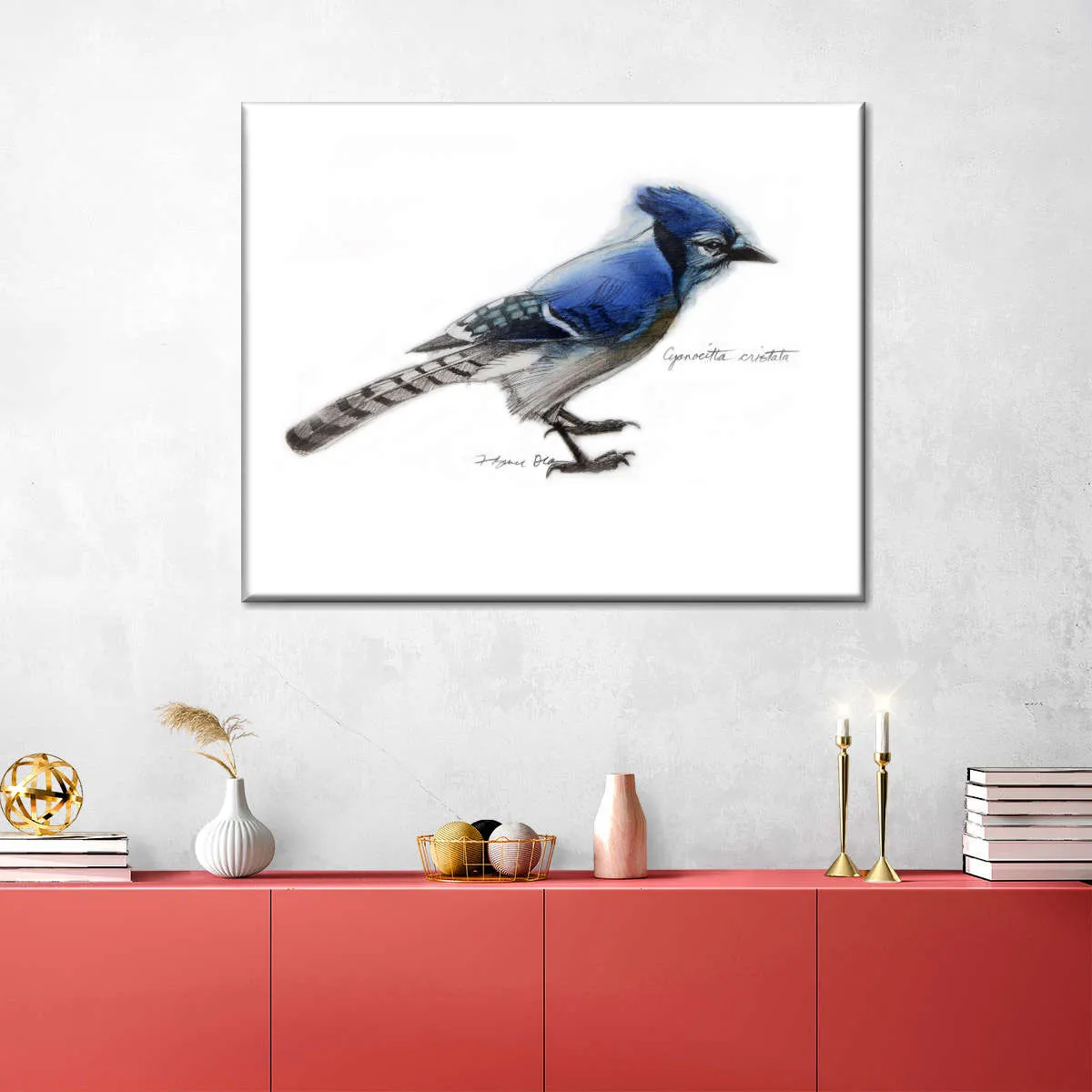 A Blue Jay Wall Art