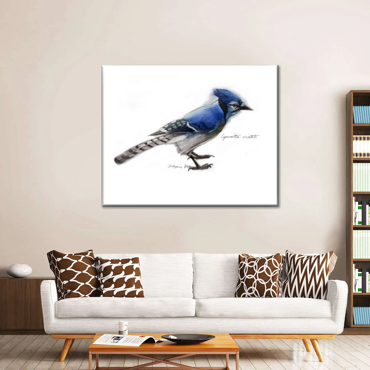 A Blue Jay Wall Art