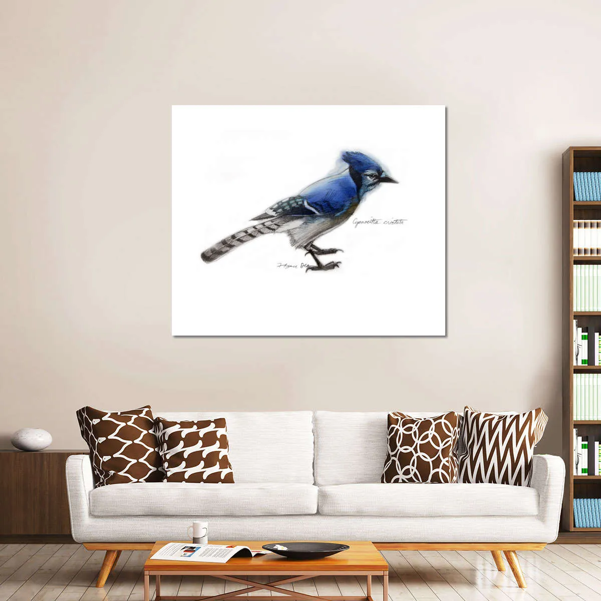 A Blue Jay Wall Art