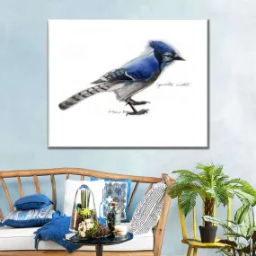 A Blue Jay Wall Art