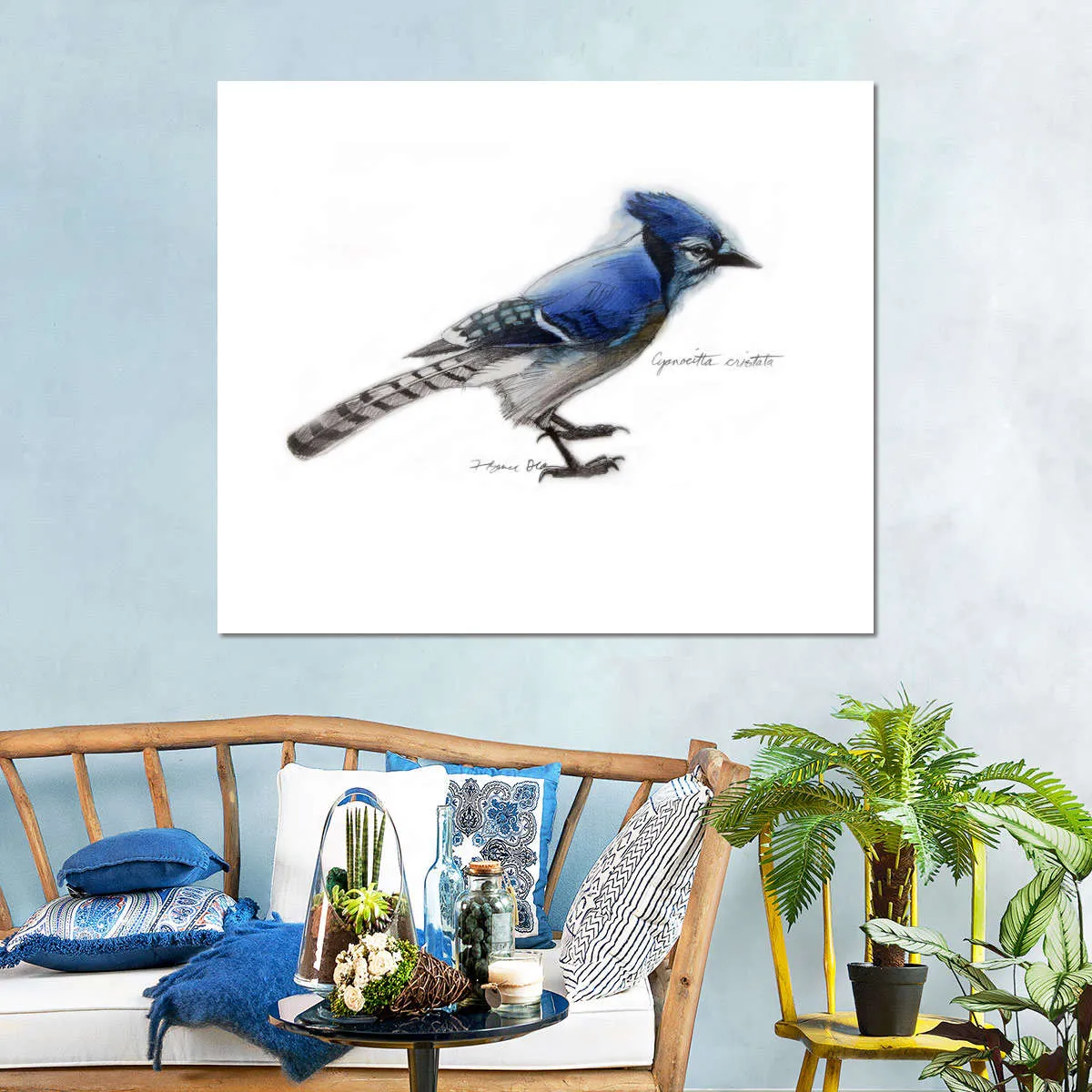 A Blue Jay Wall Art