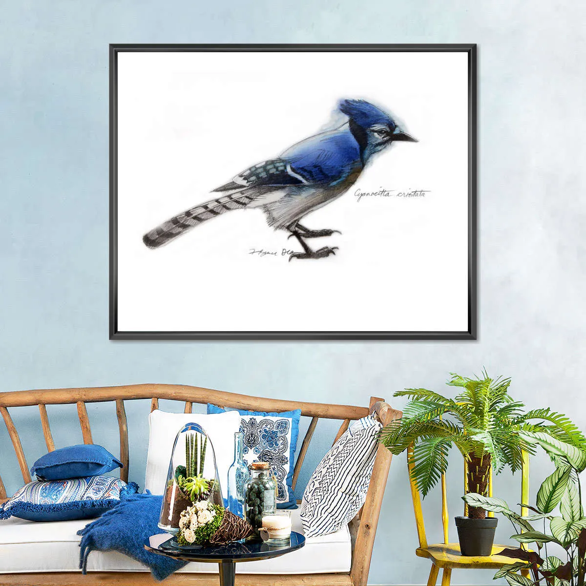 A Blue Jay Wall Art