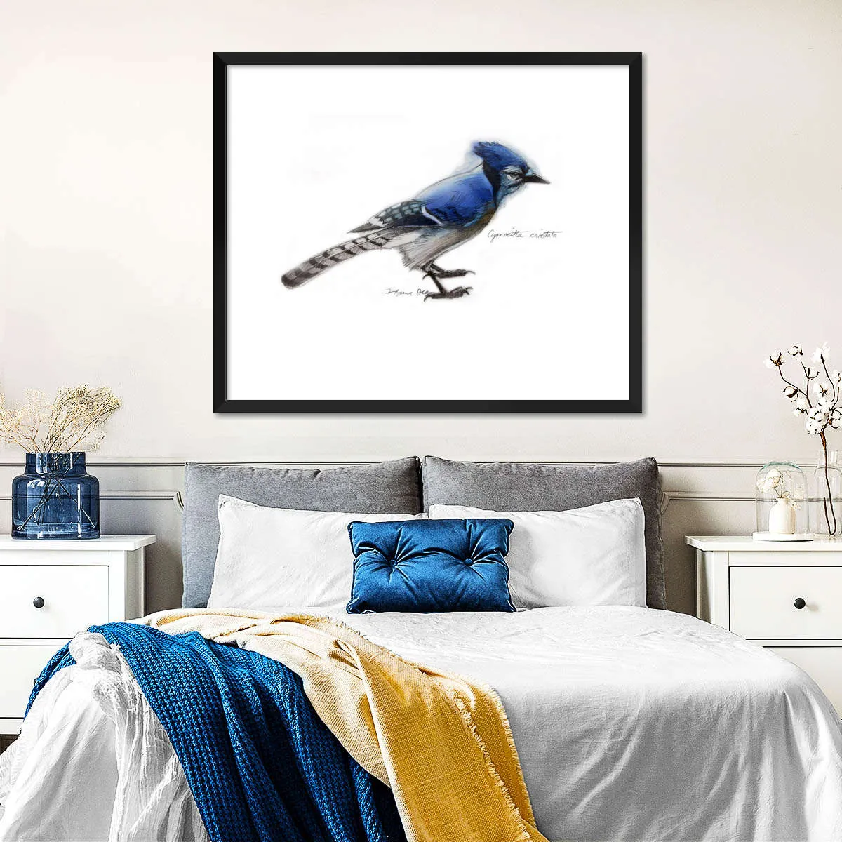 A Blue Jay Wall Art