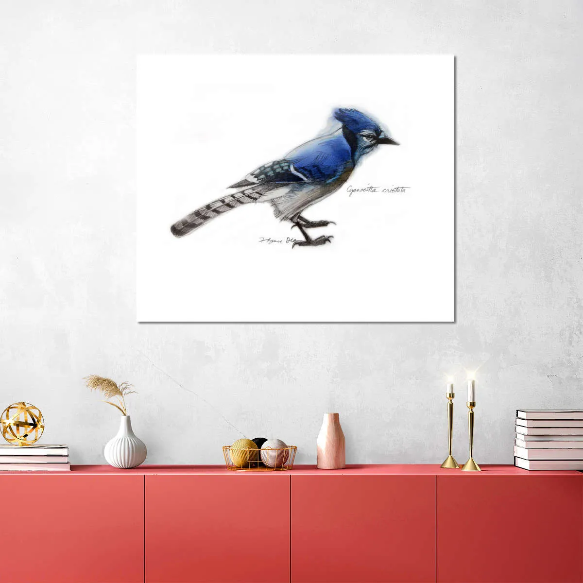 A Blue Jay Wall Art