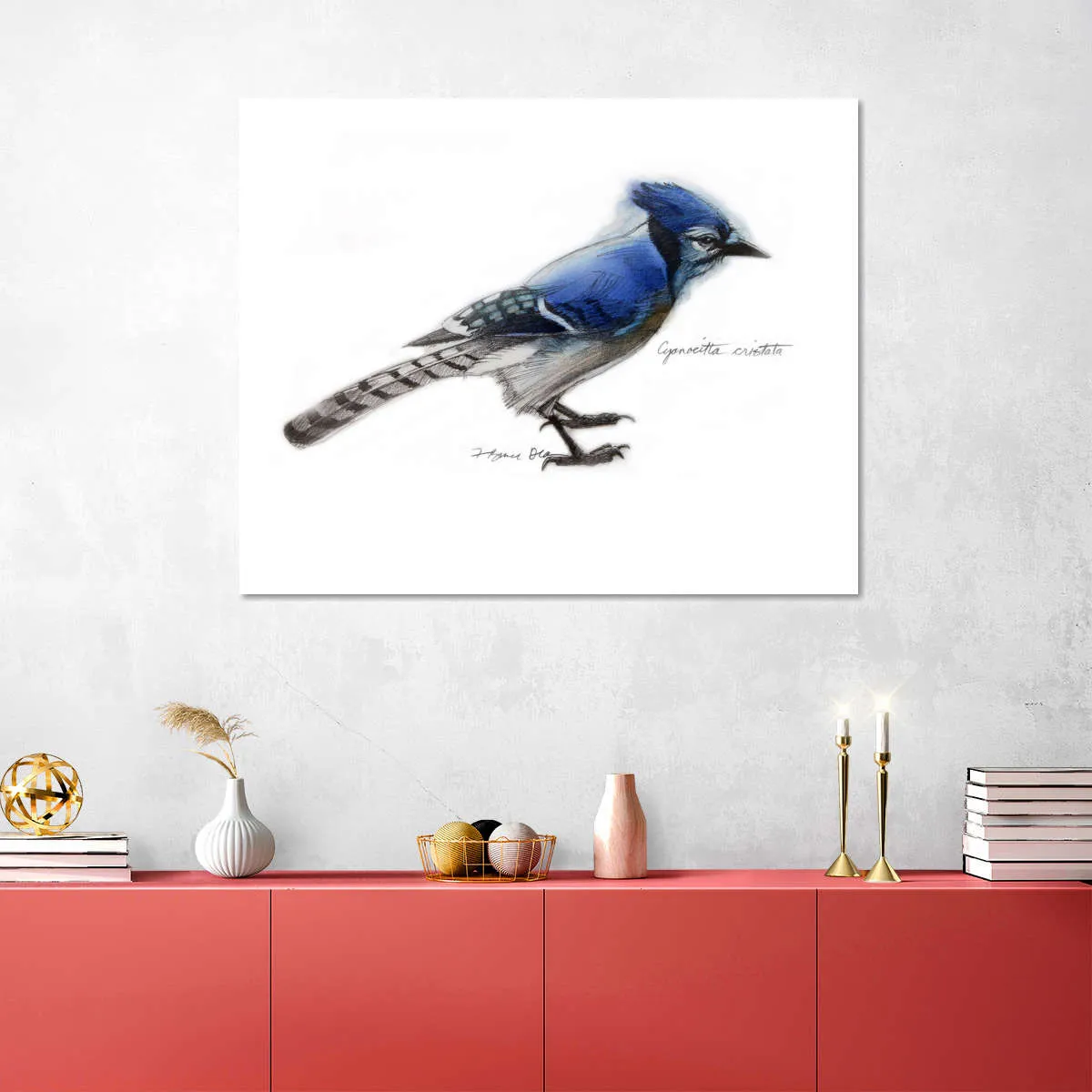 A Blue Jay Wall Art