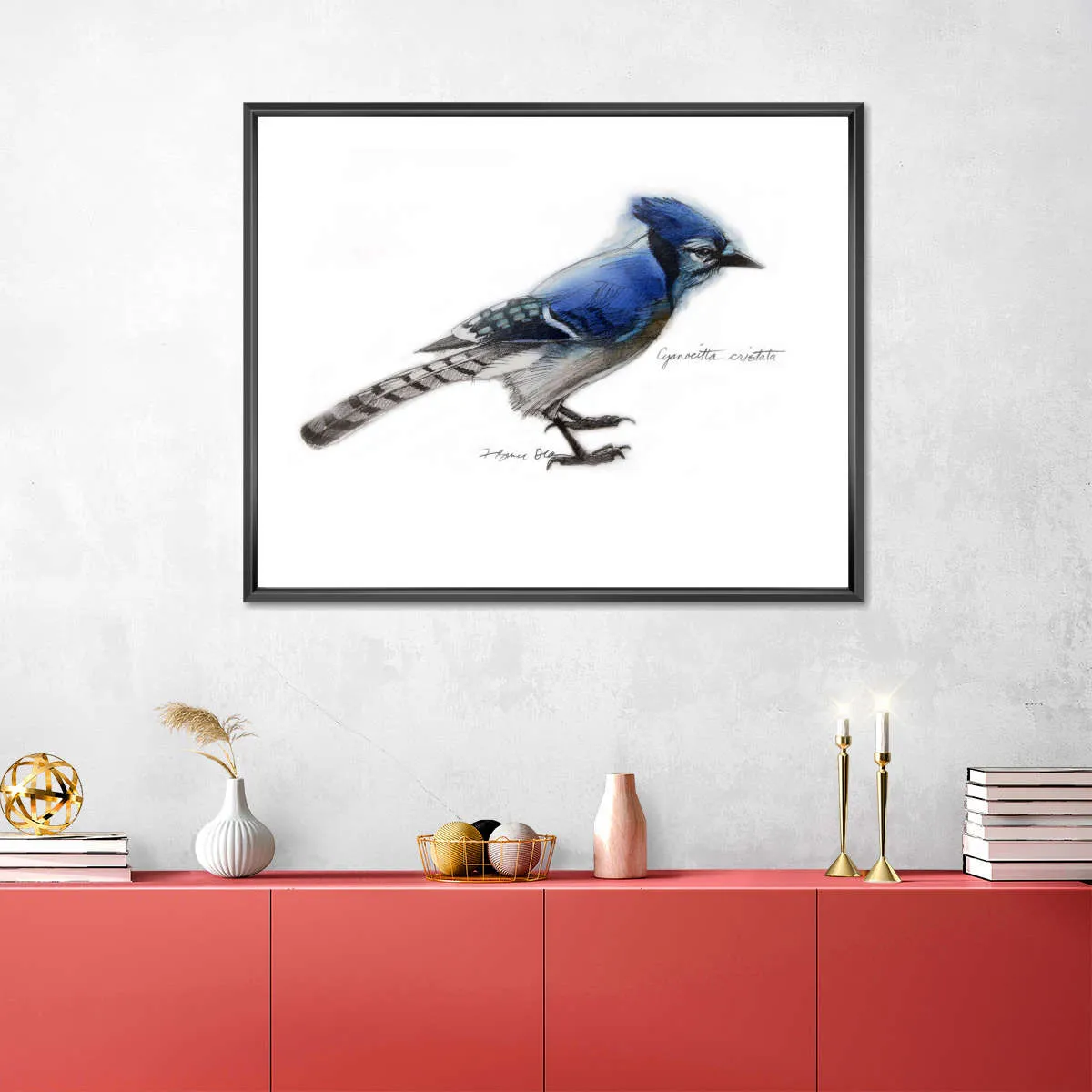 A Blue Jay Wall Art