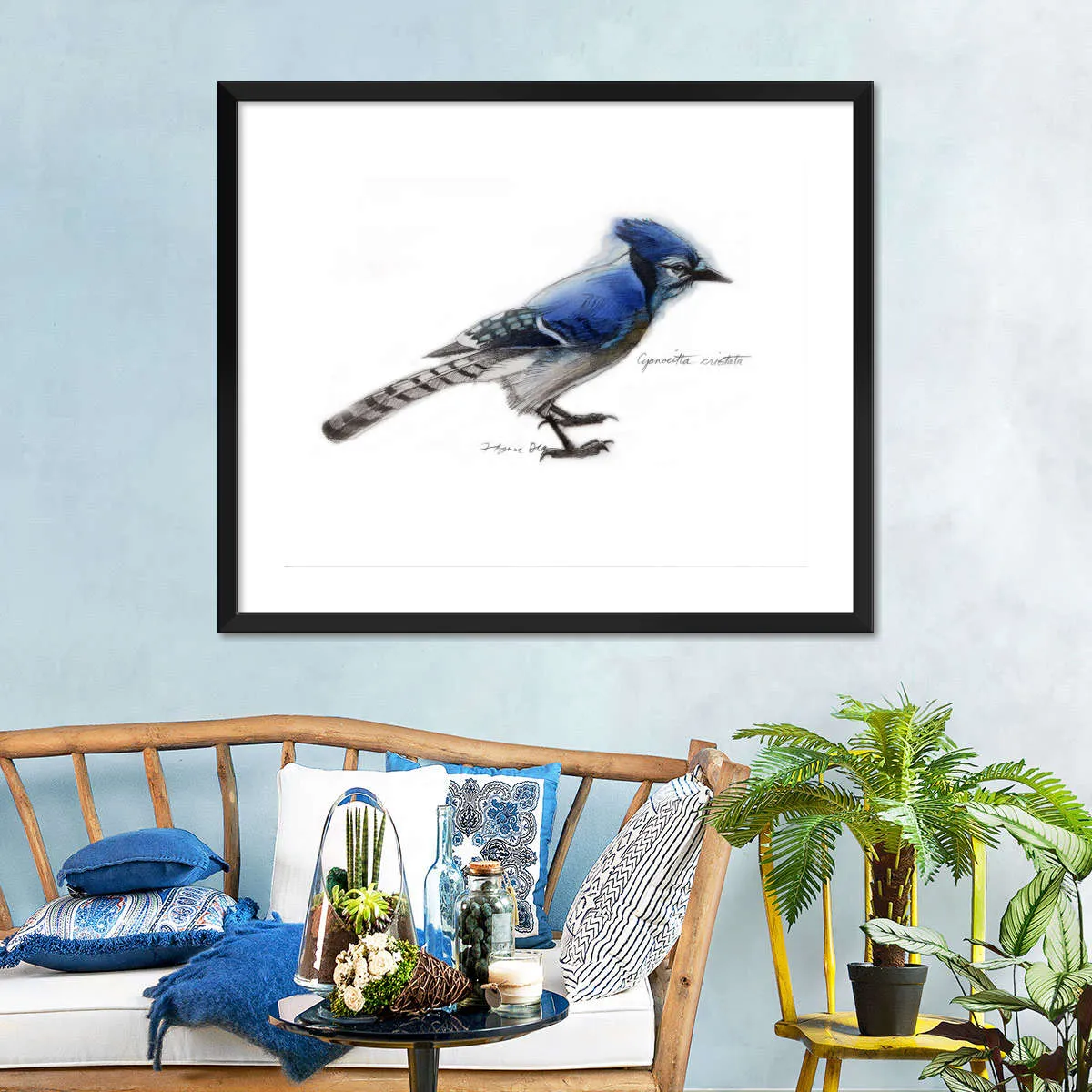 A Blue Jay Wall Art