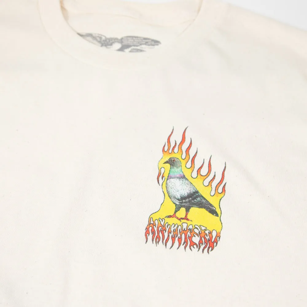 Anti Hero Skateboards - Flame Pigeon T-Shirt - Natural / Multi