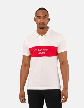 Calvin Klein Colorblock Polo Shirt