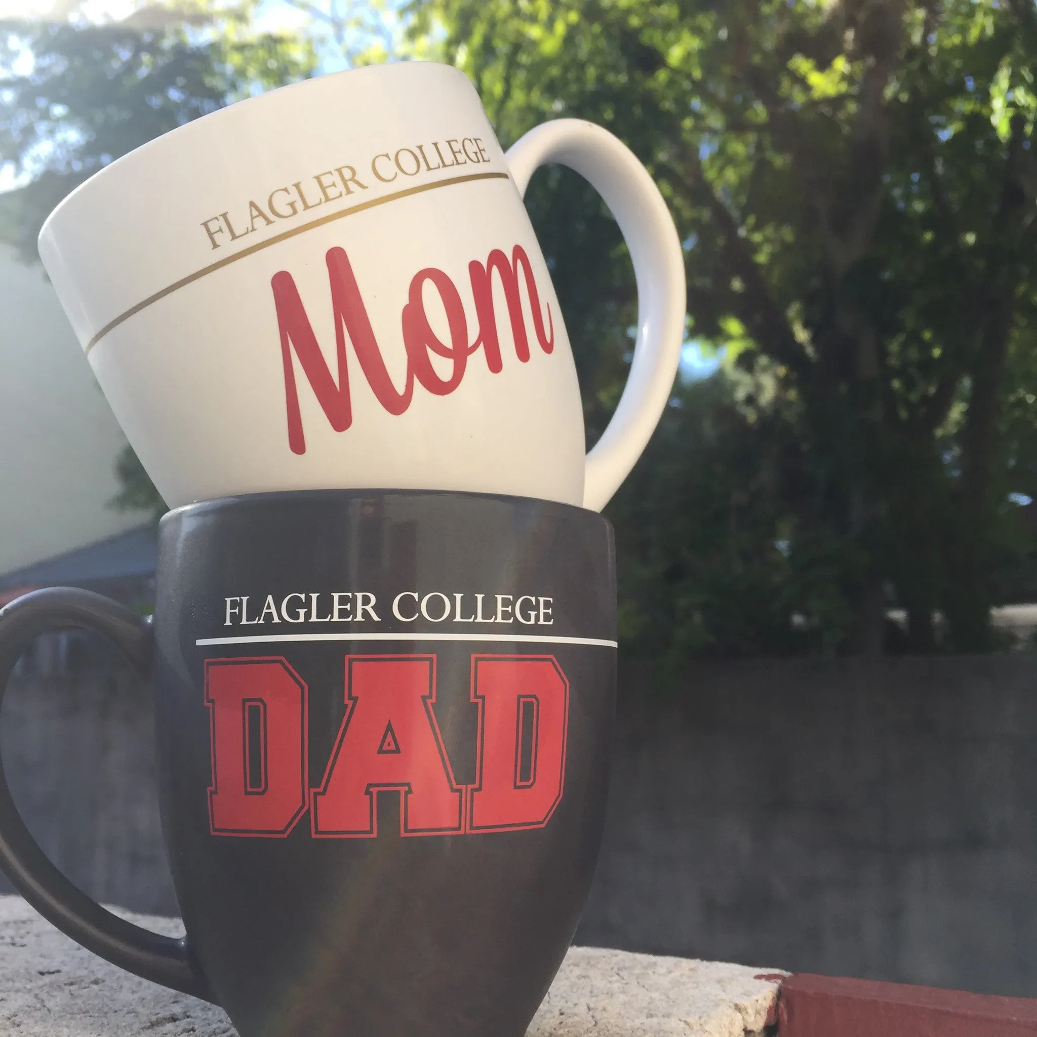 Flagler Dad Mug