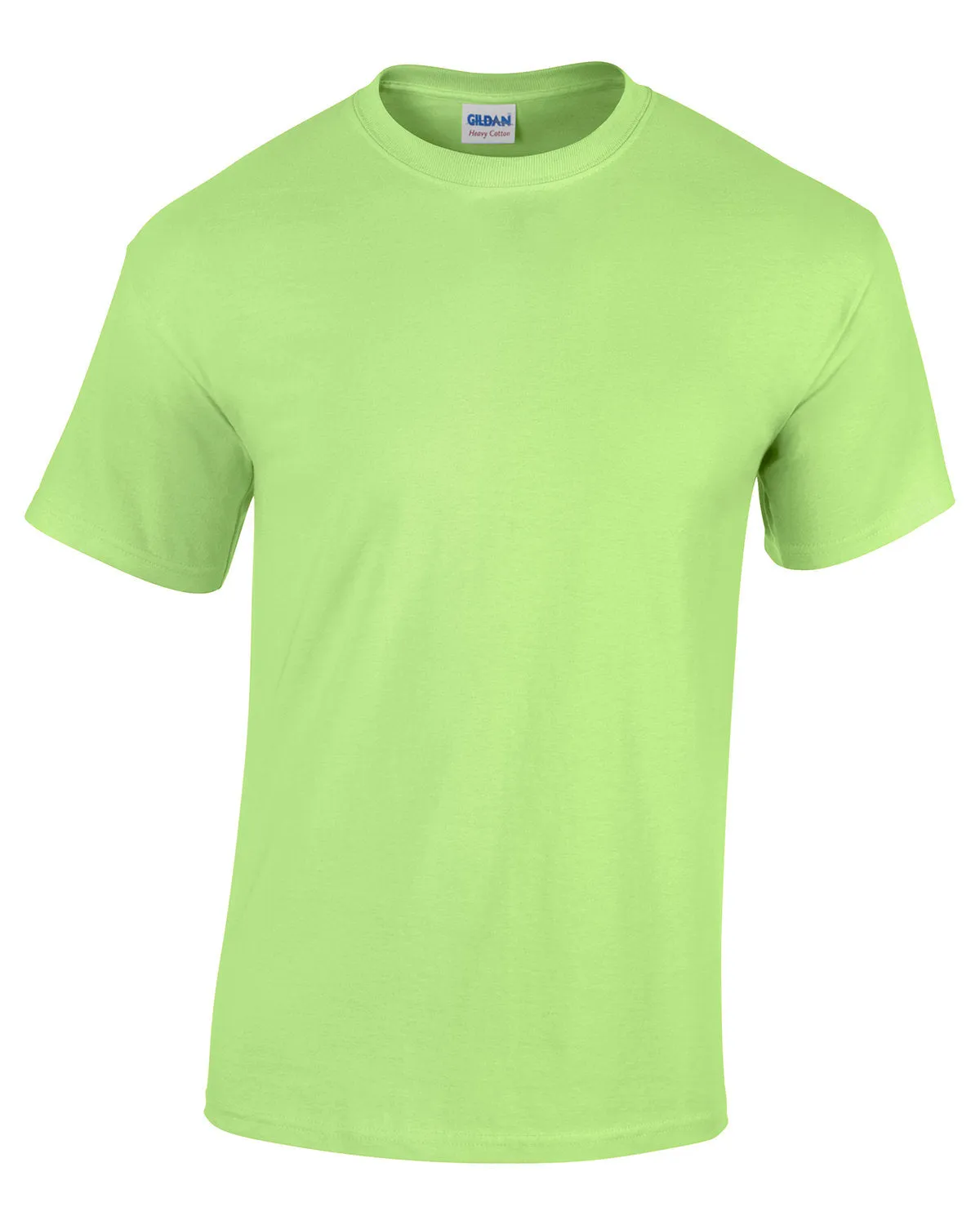 Gildan Heavy Blend T-shirt (5000 series) Blue and Green Shades