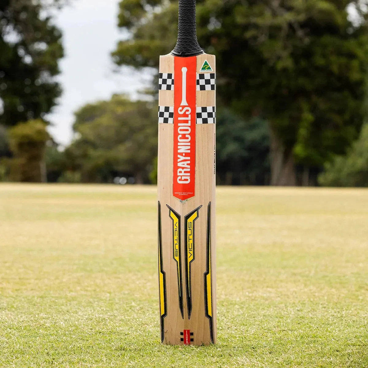 Gray Nicolls Victus 2000 Adult Cricket Bat