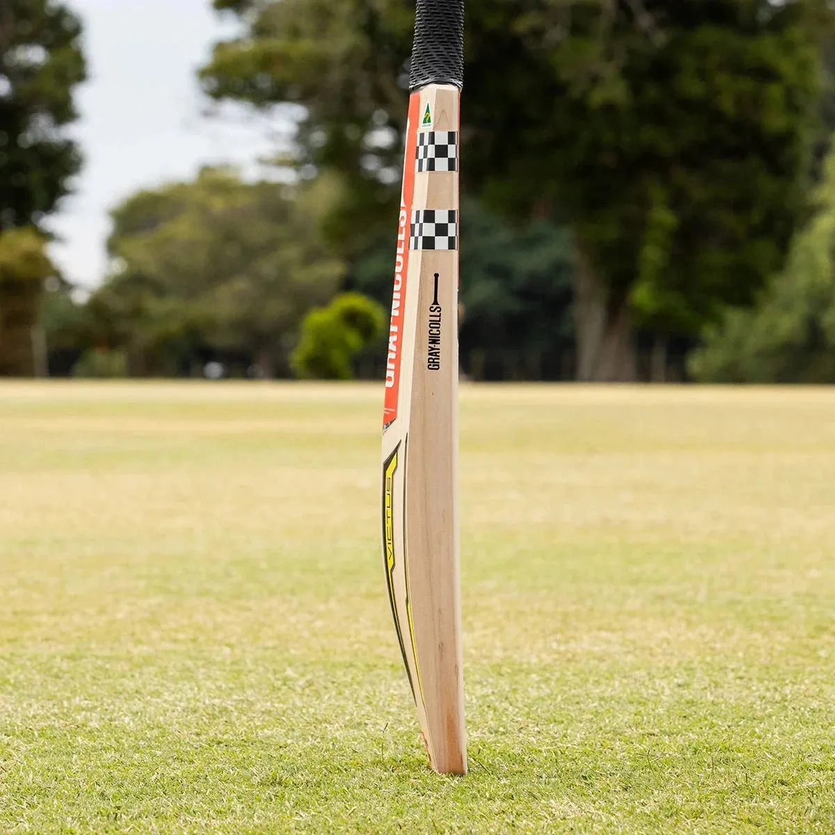 Gray Nicolls Victus 2000 Adult Cricket Bat